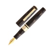 Esterbrook Model J - fountain pen Antique Rose Gold Trim