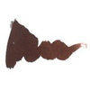 Diamine Chocolate Brown 80ml