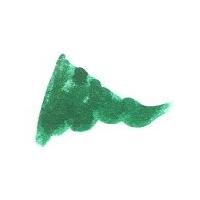 Diamine Delamere Green 80ml