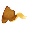 Diamine Shimmer Golden Sands 50ml