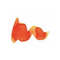 Diamine Autumn Oak 30ml