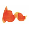 Diamine Autumn Oak 30ml