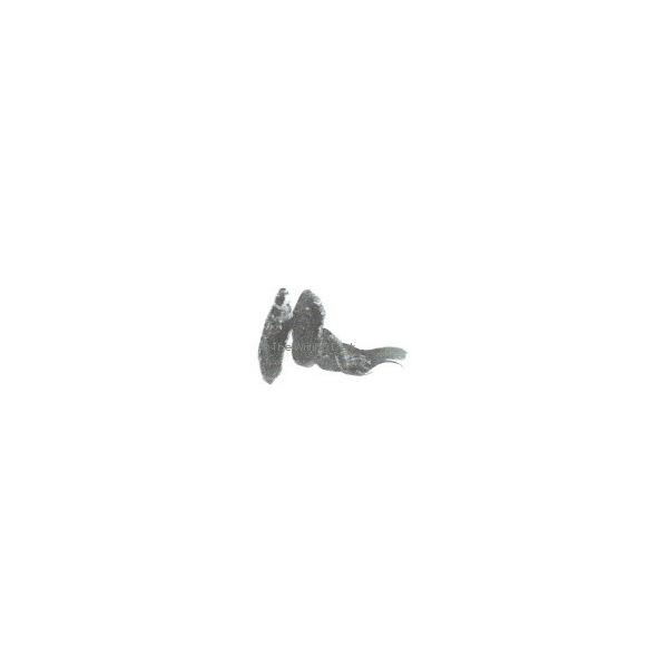 Diamine Graphite 30ml