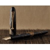 Namiki Golden Pheasant fountain pen
