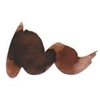 Caran d'Ache cartridges Organic Brown