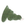 Diamine Evergreen 80ml