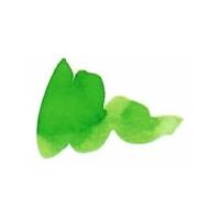 Caran d'Ache cartridges Delicate Green