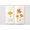 Traveler's Company MD Cream Paper notebook 025