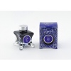 Diamine Ink-Vent Blue Edition Festive Cheer
