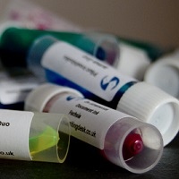 Namiki ink samples