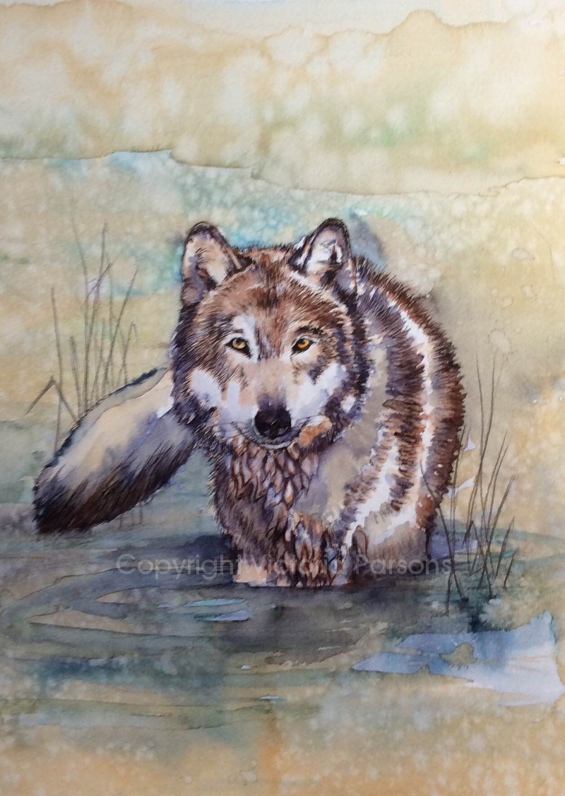 painting of wolf made with Diamine inks