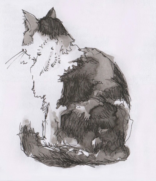 drawing of cat made with permanent fountain pen ink